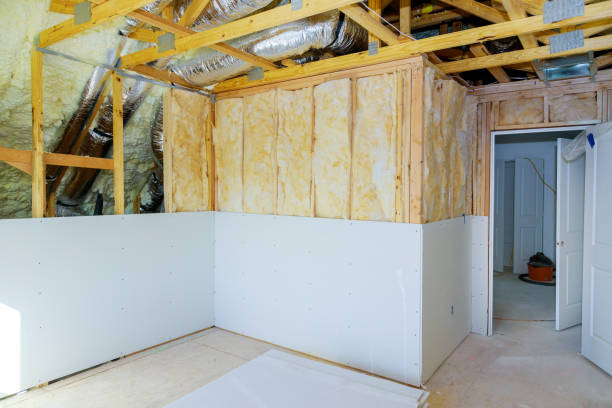 Best Insulation Installation Services in Diboll, TX