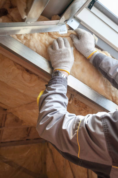 Best Commercial Insulation in Diboll, TX