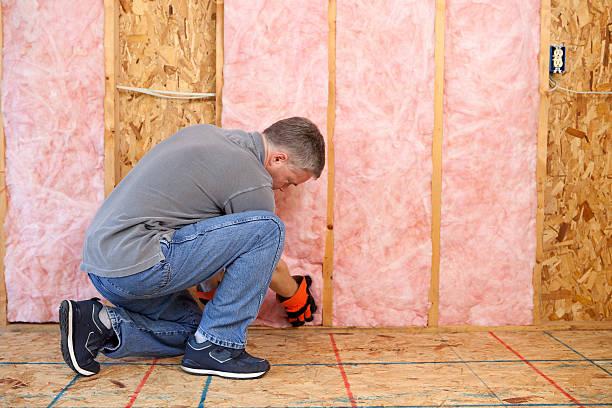 Best Insulation Installation Services in Diboll, TX