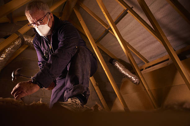 Best Insulation for Specific Applications in Diboll, TX